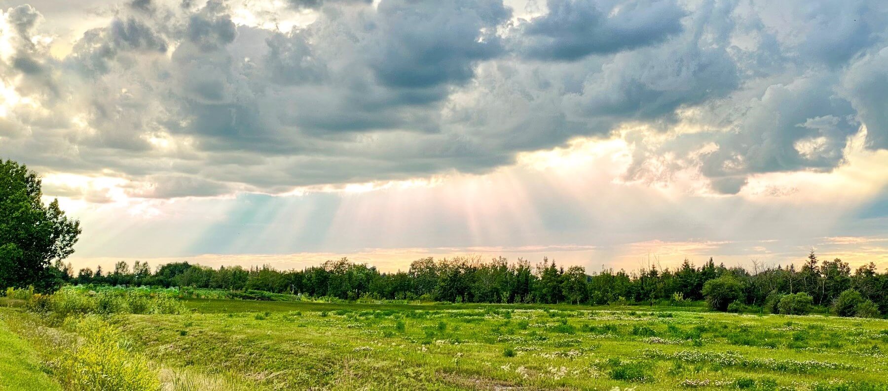 Nisku Alberta